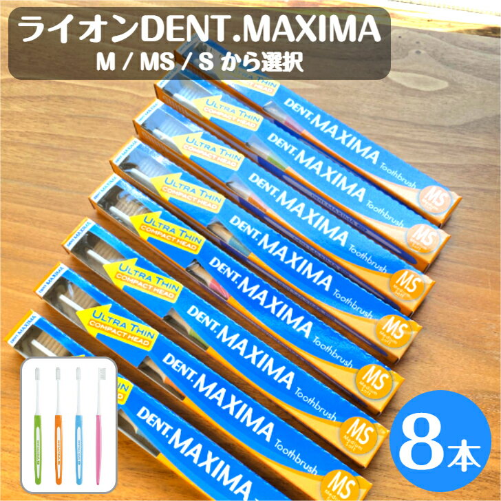 ライオン デント マキシマ 歯ブラシ 8本 ソフト ミディアムソフト ミディアム 選択