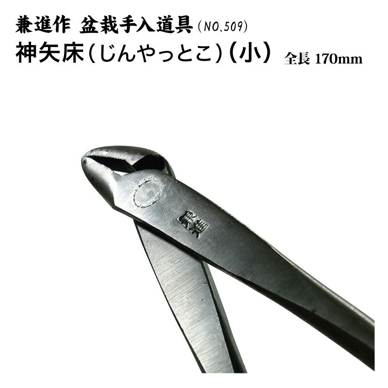 幹の皮をはがして「神」を作る際に使用します。 （神とは、幹や枝が枯れて、白くなる様子。その部分もまた、盆栽の見所の一つとなる。） ●製造元：岐阜県関市 銃刀法についてはこちらをご確認ください。　