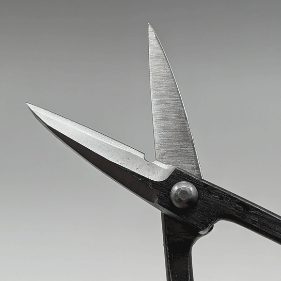 �ڷ�ʺ�ۿ˶����դ�����դ������Ǥ�����������No.609A���ߺϡ��Ϥ��ߡ��ߺ�ƻ�񡡤������졡��Ŧ�ߡ������ݢ�