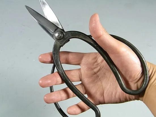 �ڷ�ʺ���ܳʼ��Ǥ�����������NO.109B��Ĺ�� NO.109C����ݤϤ��ߡ����ڤϤ��ߡ��ϥ��ߡ��ߺϡ���ƻ����ʪ�Ծ좡