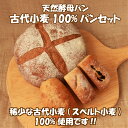 古代小麦 スペルト小麦 100% ほぼグルテンフリー グルテン少ないパン グルテン少ない小麦粉 パンセット オーガニック 天然酵母パン グルテン少なめ 卵不使用...