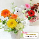 送料無料 (一部地域を除く)【 生花 プードルアレンジ】 誕生日 お祝い 記念日 プレゼント 母の日 敬老の日 父の日 あす楽対応(14時までのご注文)