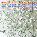 【オプション用カスミソウ 】生花の花束商品に追加でお入れします 【価格は1本分です】必要本数をご購入下さい。当店の【花束商品と一緒にご購入】が必要です。あす楽対応(14時までのご注文)