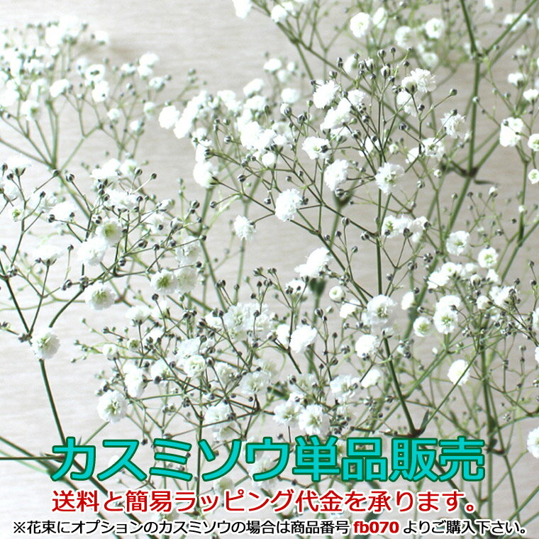 【 単品販売カスミソウ 】生花 【価格は1本分です】必要本数をご購入下さい【送料とラッピング代金を承ります】