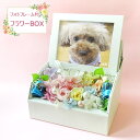 プリザーブドフラワーアレンジ【フォトフレーム付フラワーBOX】 誕生日プレゼント 女性 誕生日 ギフト 出産お祝い フラワーアレンジメント お供え お盆 花 記念日 お祝 プレゼント 春 敬老の日 送料無料(一部地域を除く)