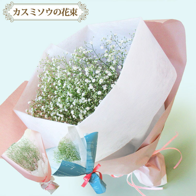 送料無料(一部地域を除く)【 生花 】カスミソウの花束 誕生日 花 花束 贈答 プレゼント お礼 ギフト 誕生日 女性 成人式 お祝い 父 ブライダル 記念日