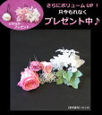 【只今プレゼント中!】ヘッド 結婚【ヘッドドレス 大輪ローズ1輪とミニローズ2輪セット】プリザーブドフラワー 髪飾り ブライダル・パーティー【HLS_DU】【楽ギフ_メッセ入力】ブライダル・結婚式・入園式・卒園式・入学式・卒業式 オーダーメイド