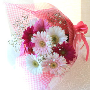 送料無料 (一部地域を除く) 【 生花 】【 産地直送 】 ガーベラ & カスミソウ の花束 誕生日プレゼント 女性 花 ギフト 誕生日 ホワイトデー プレゼント 成人式 お祝い花束 バレンタイン 花