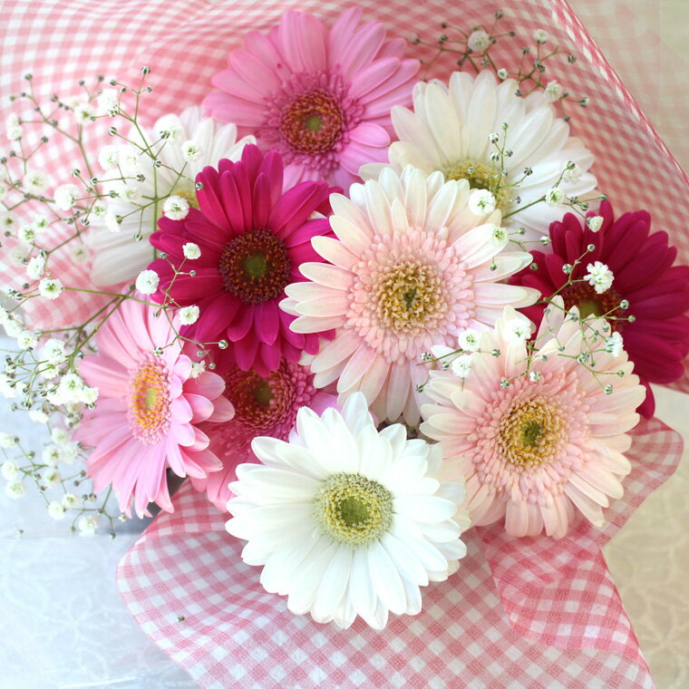 送料無料 （一部地域を除く） 【 生花 】【 産地直送 】 ガーベラ ＆ カスミソウ の花束　誕生日プレゼント 女性 花 ギフト 誕生日 ホワイトデー プレゼント 成人式 お祝い花束 バレンタイン 花格安通販　バレンタイン　人気　ランキング