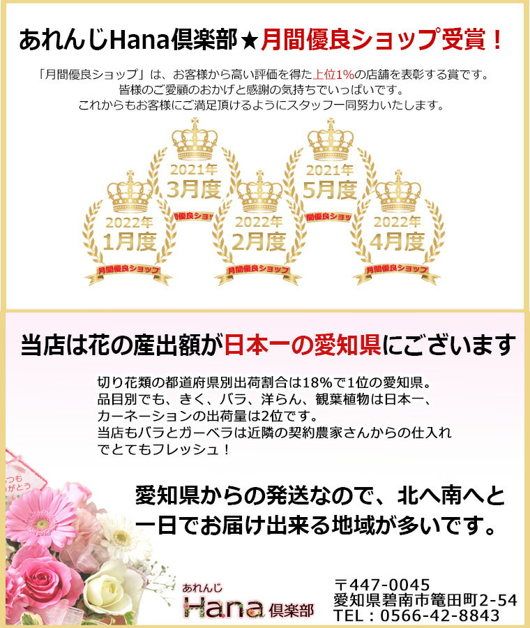 あす楽対応 14時まで 送料無料（一部地域を除く）【 お供え用 】 生花 店長におまかせ 花束 Mサイズ　（ホワイト系花 お供え お悔やみ 花 ギフト 法事 枕花 お彼岸 命日 弔事 葬式 初七日 四十九日 法要 ペット