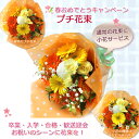 小花サービス中!送料無料(一部地域を除く)【生花】プチ花束【あす楽対応15時まで】お誕生日/お祝い/記念日/お悔やみ/お供え/などのご用途に 退職祝い【花 ギフト 誕生日】【あす楽_土曜営業】【楽ギフ_メッセ入力】【HLS_DU】【クリスマス ギフト】