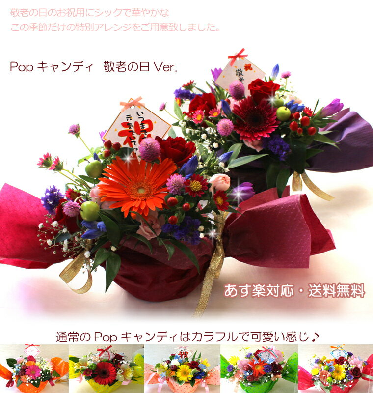 【生花】花　Popキャンディ（プチメッセージ付き）【敬老の日　ギフト】【敬老の日　花】【送料無...