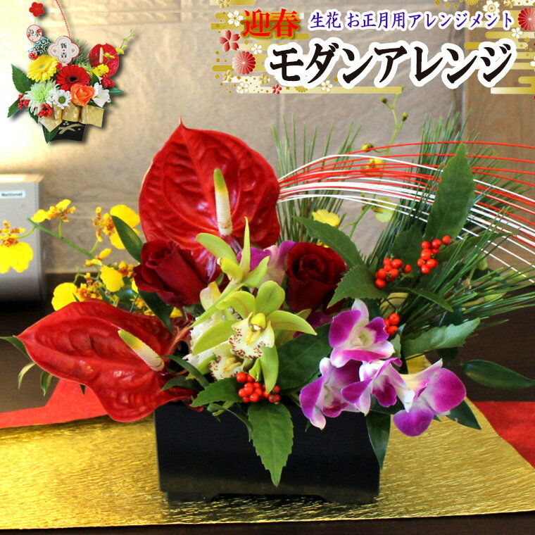 ピックサービス！送料無料（一部地域を除く）お正月用 お正月モダンアレンジ【アンスリウム】【お正月アレンジメント お正月飾り 正月 花 お正月 アレンジメント お歳暮 モダン