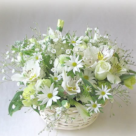 商品画像サービス付き☆贈ったお花が確認できて安心即日発送OK税込み送料無料☆店長におまかせ...