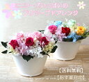 送料無料(一部地域を除く)【プリザーブドフラワー】【ミニローズいっぱいの プリザーブドフラワーお誕生日【誕生日プレゼント 女性】】【敬老の日 ギフト】【花 ギフト 誕生日】【バラ 薔薇 ローズ】あす楽対応14時まで