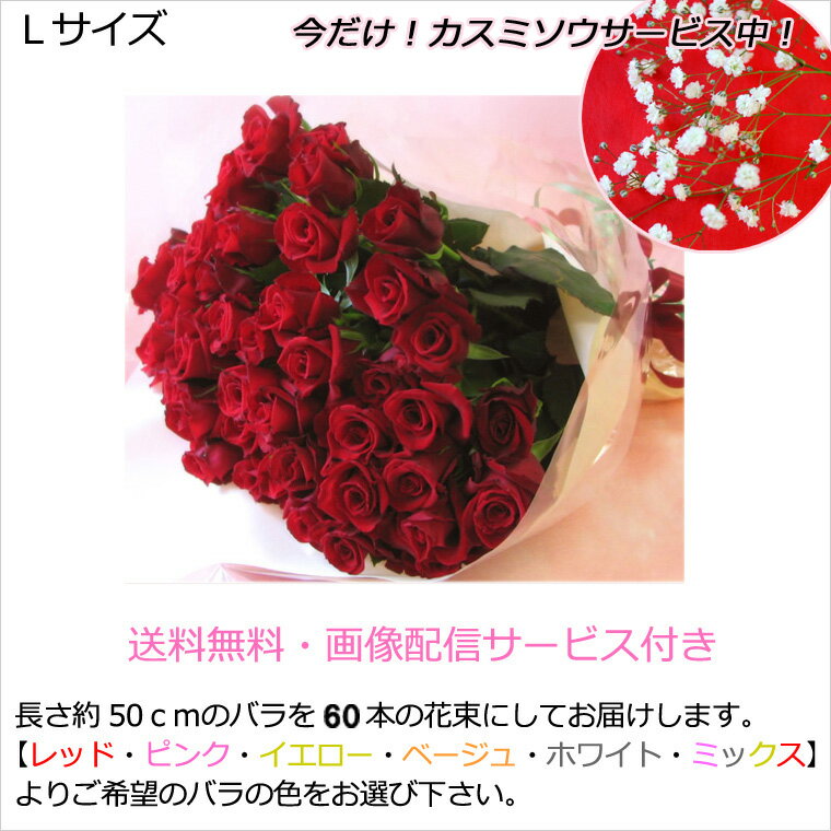 送料無料（一部地域を除く）【生花】☆Lサイズ☆【60本のバラの花束】【クリスマス】還暦のお祝いに【花 ギフト 誕生日】【バラ 薔薇　ローズ　花束】花束 バレンタイン 花格安通販　バレンタイン　人気　ランキング