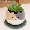 子宝草アニマルPOT陶器鉢(陶器鉢皿付)観葉植物(生花) 子宝草アニマルPOT陶器鉢(陶器鉢皿付)観葉植物(生花)