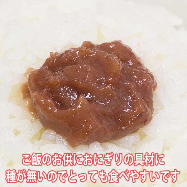 ねりうめ 180g×1パック 梅干しペースト 天然記念物 佐布里梅 ご飯のお供 梅料理の味付け