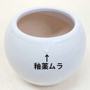 訳あり 陶器鉢 4号 穴あり 植木鉢 花 観葉 鉢 釉薬ムラがありま 直径約12cm×高さ約10.5cm 寄せ植え 鉢植え ガーデニング 園芸 花鉢