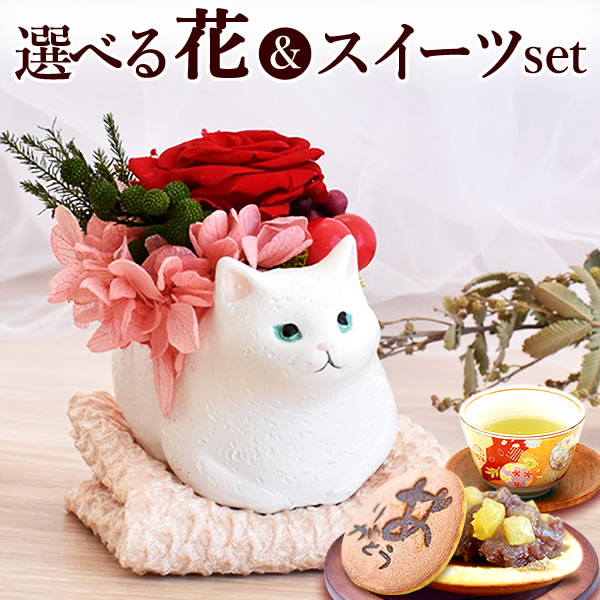 国内発送 猫 ネックレス 12誕生石 プリザーブドフラワーセット 楽天市場】猫 置物(プリザーブドフラワー|花・観葉植物):花