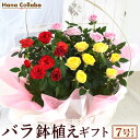 ミニバラ ミニ薔薇 鉢植え 花 ギフト バラ ばら ジュエリーバスケット 7号 生花 愛妻の日 誕生日プレゼント アレンジメント 母 祖母 おばあちゃん 妻 女性 女友達 お祝い 内祝い 送別会 結婚祝い 結婚記念日 快気祝い 出産祝い 送料無料