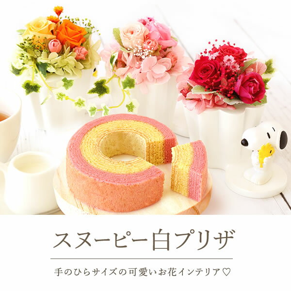 【選べる3色】 送料無料 誕生日プレゼント スイーツセット 花とスイーツ 花 母 プリザーブドフラワー おばあちゃん お祝い 内祝い 女友達 ギフト 結婚祝い 還暦祝い 出産祝い 御中元 お中元 スヌーピー 誕生日 雑貨 キャラクター 洋菓子 紅茶 【あす楽 AA】