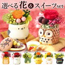 【夏祭りクーポン配布中!】 \最強配送!/ 誕生日 プレゼント お祝い 花 ギフト プリザーブドフラワー ミニ 動物 アニマル フラワーアレンジメント バラ 薔薇 一輪 置き物 ふくろう 犬 猫 かわいい おしゃれ どら焼き 送料無料 スイーツ お菓子 和菓子 ギフトセット