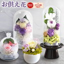 【今だけ!100円クーポン】 \最強配送/ お供え 花 プリザーブドフラワー ドーム ガラスドーム ミニ 大きめ お菓子 ブリザードフラワー お彼岸 葬式 仏花 供花 和菓子 お供え物 日持ち 初盆 命日 一周忌 ペット お盆 仏壇用 49日 初七日 四十九日 故人 法事 お悔み 送料無料