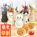 \超早割!/ 敬老の日 プレゼント ギフト 早割 花 ねこ 猫好き インテリア 雑貨 一輪挿し 花瓶 フラワーベース ペン立て 実用的 置物 花とスイーツ 送料無料 スイーツ お菓子 和菓子 洋菓子 メッセージカード