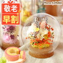 \超早割!/ 敬老の日 早割 プレゼント ギフト 早割 花 ギフト アレンジメント フラワー ドライフラワー インテリア 置物 ミニ ガラスドーム ドーム ナチュレガーデン おしゃれ かわいい 送料無料 スイーツ お菓子 洋菓子 メッセージカード