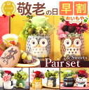 \超早割!/ 敬老の日 プレゼント ギフト 早割 花 ギフト アレンジメント フラワー プリザーブドフラワー 枯れない花 動物 ふくろう 犬 置物 かわいい おしゃれ 送料無料 スイーツ お菓子 和菓子 メッセージカード