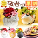 \超早割!/ 敬老の日 早割 プレゼント ギフト 早割 花 ギフト フラワーアレンジメント フラワーギフトフラワー プリザーブドフラワー 枯れない花 動物 猫 猫グッズ 猫好き 置物 おしゃれ かわいい 送料無料 スイーツ お菓子 和菓子 メッセージカード