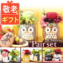 【スーパーSALE★ポイント3倍】 \まだ間に合う!/ 敬老の日ギフト 敬老の日 プレゼント 花 ギフト アレンジメント フラワー プリザーブドフラワー 枯れない花 動物 ふくろう 犬 置物 かわいい おしゃれ 送料無料 スイーツ お菓子 和菓子 メッセージカード