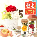 \遅れてごめんね!/ 敬老の日ギフト 敬老の日 プレゼント 花 プリザーブドフラワー ムーミン グッズ ミイ ミィ ニョロニョロ 送料無料 スイーツ お菓子 洋菓子 メッセージカード