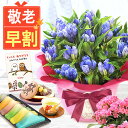 \超早割!/ 敬老の日 早割 プレゼント ギフト 早割 花 りんどう 竜胆 リンドウ 生花 花鉢 孫 ありがとう どら焼き バウムクーヘン 干し芋 芋けんぴ かりんとう カステラ ようかん あんみつ 秋 送料無料 スイーツ お菓子 和菓子 洋菓子