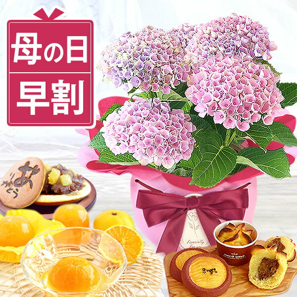 ＼ポイント最大5倍＆早割／ 母の日 プレゼント 花 2023 ギフト 選べる アジサイ 紫陽花 あじさい 4号 鉢植え 鉢花 花鉢 生花 どら焼き どらやき バウムクーヘン みかんゼリー 送料無料 スイーツ お菓子 和菓子 洋菓子 ギフトセットのサムネイル