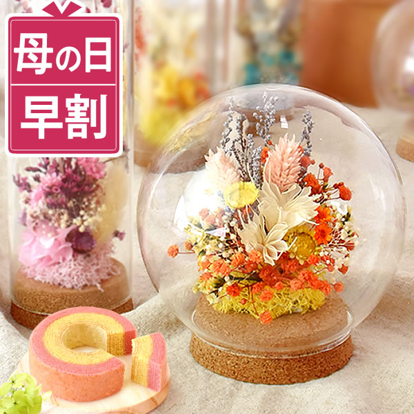 ＼早割！／ 母の日 プレゼント 花 ギフト ドライフラワー フラワーアレンジメント ガラスドーム ボトル ミニ アンティーク ナチュラル インテリア 雑貨 置物 玄関 寝室 バウムクーヘン 選べるセット 送料無料 スイーツ お菓子 洋菓子 ギフトセット