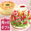 \まだ間に合う!/ 母の日 プレゼント 花 ギフト ケイトウ シフォンケーキ 生花 鉢植え 寄せ植え 5号 花とスイーツset 食べ物 送料無料 スイーツ お菓子 洋菓子 花とお菓子 3,979円