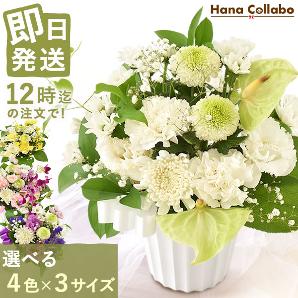 【150円クーポン配布中！】 ＼最強配送／ お供え 花 お供え花 アレンジメント 生花 仏壇用 49 日 故人 仏花 命日 法事 法要 新盆 初盆 一周忌 お彼岸 お盆 お悔やみ アレンジ 花束 即日発送 カード 送料無料 人気 ランキング お供え 用 の 花 レビューキャンペーンのサムネイル