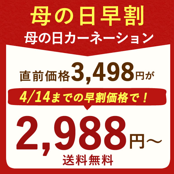 【14日にお値段上がります】 ＼早割／ 母の日 プレゼント カーネーション 5号 鉢植え 花 2024 花とお菓子 ギフト 生花 鉢花 5号鉢 おしゃれ かわいい 送料無料 花 スイーツ お菓子 和菓子 どら焼き ありがとう メッセージカード付き ははの日 hahanohi