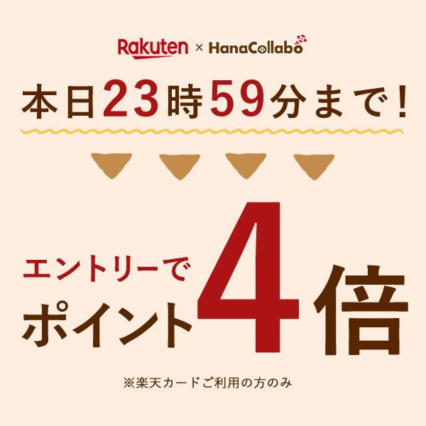 【本日ポイント4倍！】 ＼26日に値段上がります／ 早割 母の日 プレゼント カーネーション 5号 鉢植え 花 2024 花とお菓子 ギフト 生花 鉢花 5号鉢 おしゃれ かわいい 送料無料 花 スイーツ お菓子 和菓子 どら焼き ありがとう メッセージカード付き ははの日 hahanohi