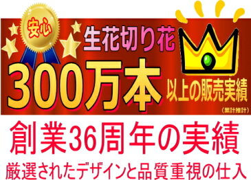 父の日　誕生日　開店祝い 胡蝶蘭 ピンク 3本立ち 中大輪