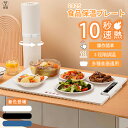 【2025新発売】 電気保温プレート 食品保温プレート 卓上保温プレート ホットプレート デコエーセ 保温プレート 電気保温トレイ 折りたたみ式 多機能食品断熱ボード 温度調節 10秒速熱 フルプレート加熱 お手入れも簡単 収納袋付き ホームビュッフェ レストラン パーティー用