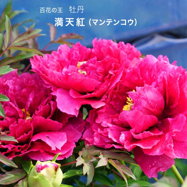 ŷȡ ַϡ ð 2ǯ 6楹åȭ