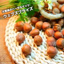 【ウェブズプライズ】 ヘーゼルナッツ 1年生苗 【予約販売】11月下旬頃入荷予定