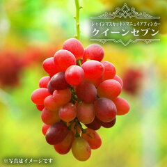 https://thumbnail.image.rakuten.co.jp/@0_mall/hana-online/cabinet/08507942/budou-vf035_01.jpg
