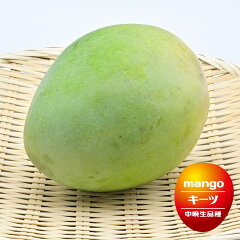 https://thumbnail.image.rakuten.co.jp/@0_mall/hana-online/cabinet/08507942/mango-02_01b.jpg