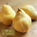 洋梨 苗木 【ルレクチェ】 1年生接木苗 単品 or 受粉樹セット