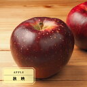 りんご 【秋映】 1年生 接ぎ木 苗