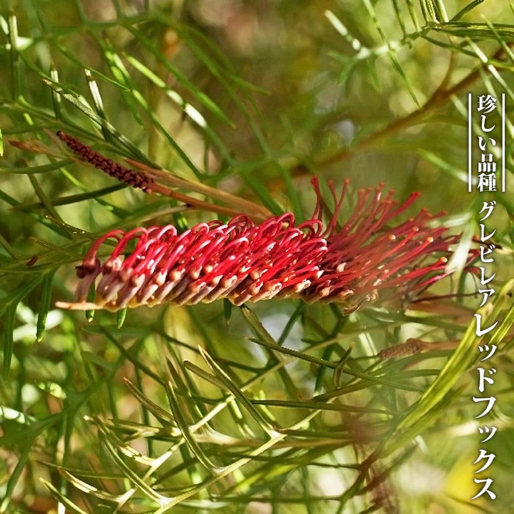 nwab042.jpg